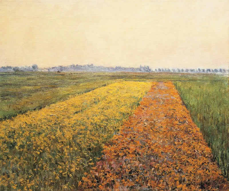 Gennevilliers-sletten, Gul eng - Gustave Caillebotte