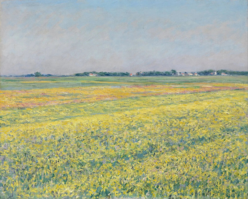 Gennevilliers-sletten, gule marker - Gustave Caillebotte