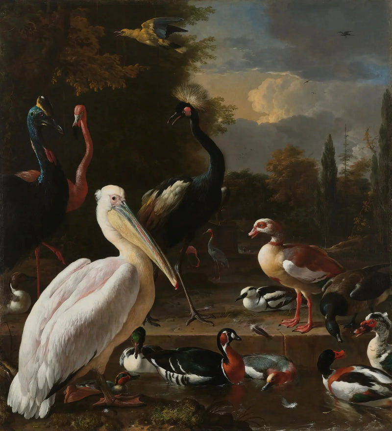 Den flytende fjæren - Melchior de Hondecoeter