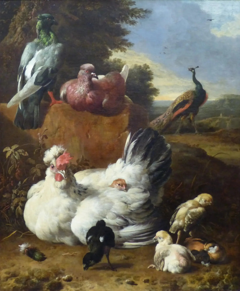 Den hvite høna - Melchior de Hondecoeter