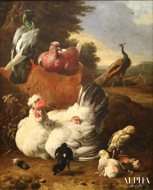 La poule blanche - Melchior d'Hondecoeter - Reproductions de tableaux et peintures haut de gamme