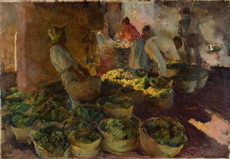 Tørking av rosiner - Joaquín Sorolla