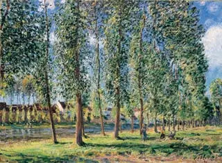 Poplerrekken i Moret - Alfred Sisley