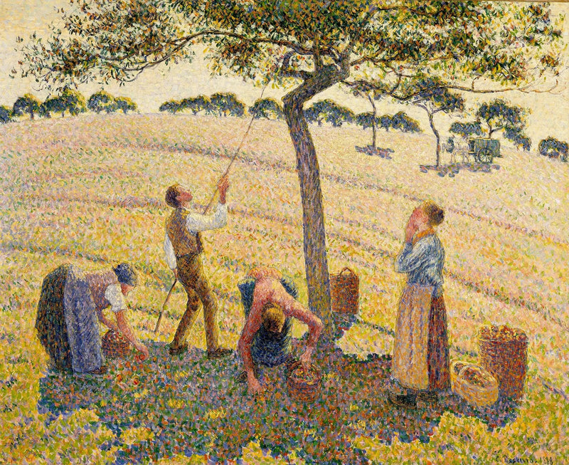 Epleplukking i Éragny - Camille Pissarro
