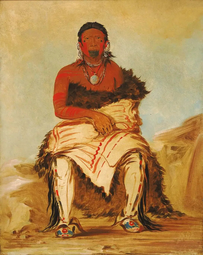 Lá-shah-le-stáw-hix, mannleder, en Pawnee-republikaner - George Catlin

Source:
Lá-shah-le-stáw-hix, chef d'homme, un Pawnee républicain - George Catlin