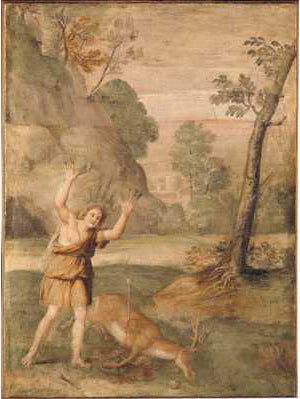 Transformasjonen av Cyparissus - Domenichino