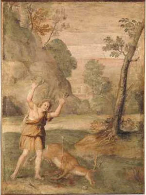 Transformasjonen av Cyparissus - Domenichino