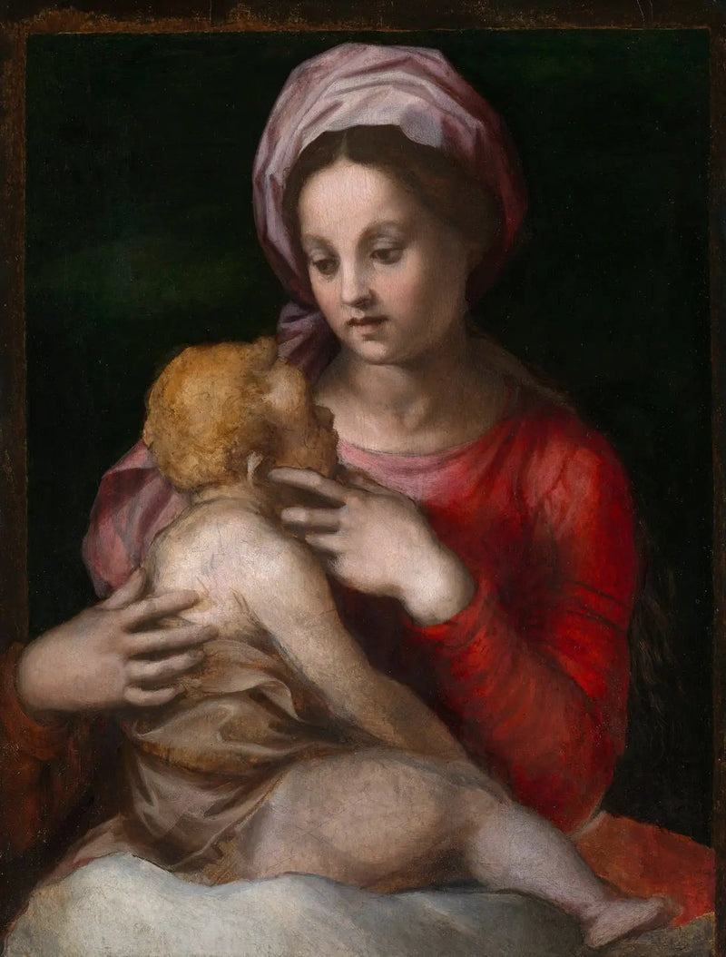 Jomfruen med barnet - Andrea del Sarto