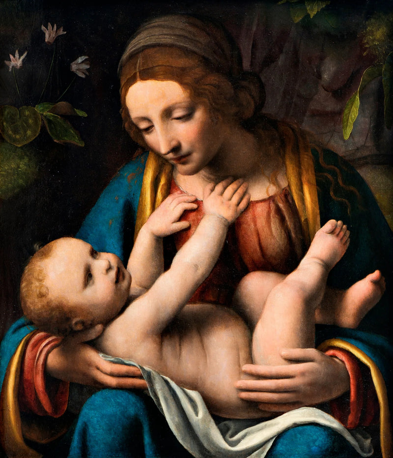 Jomfruen med barnet - Bernardino Luini