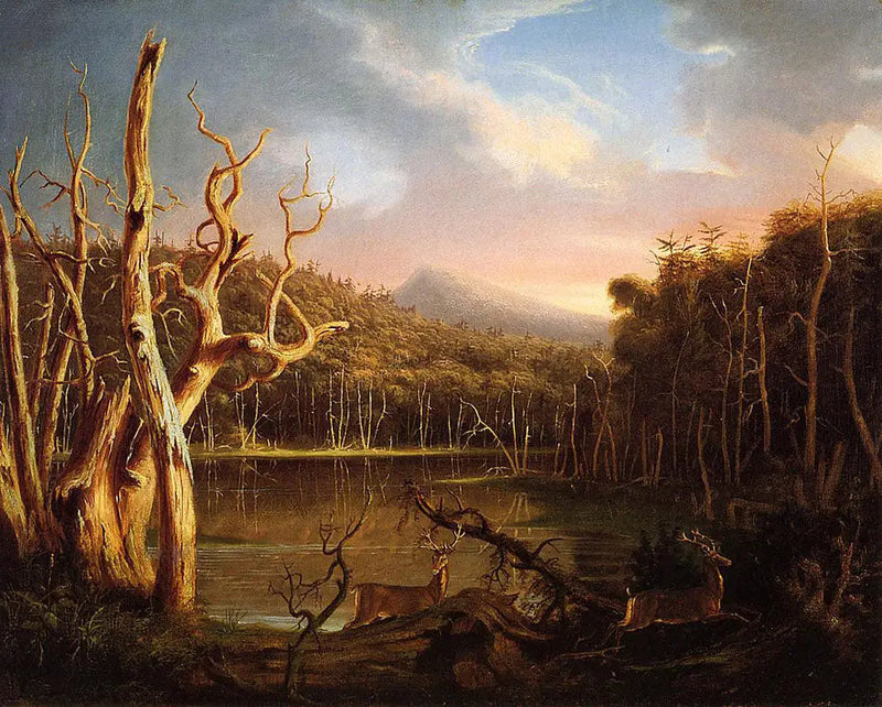 Lac aux arbres morts - Thomas Cole

Source:
Lac aux arbres morts - Thomas Cole