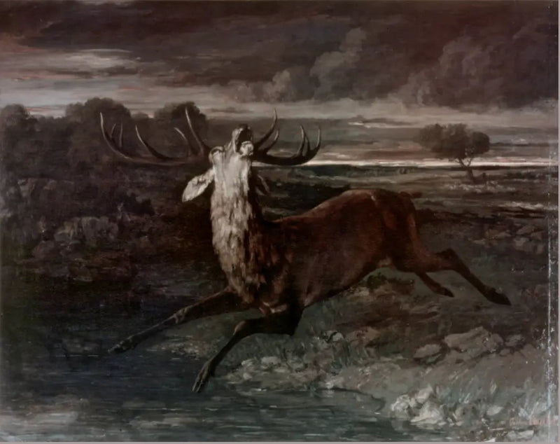 Elk ved vannet - Gustave Courbet