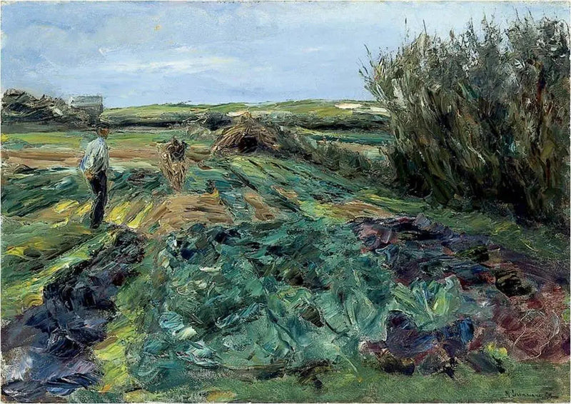 Kålfeltet (kålfeltet i Noordwijk) - Max Liebermann