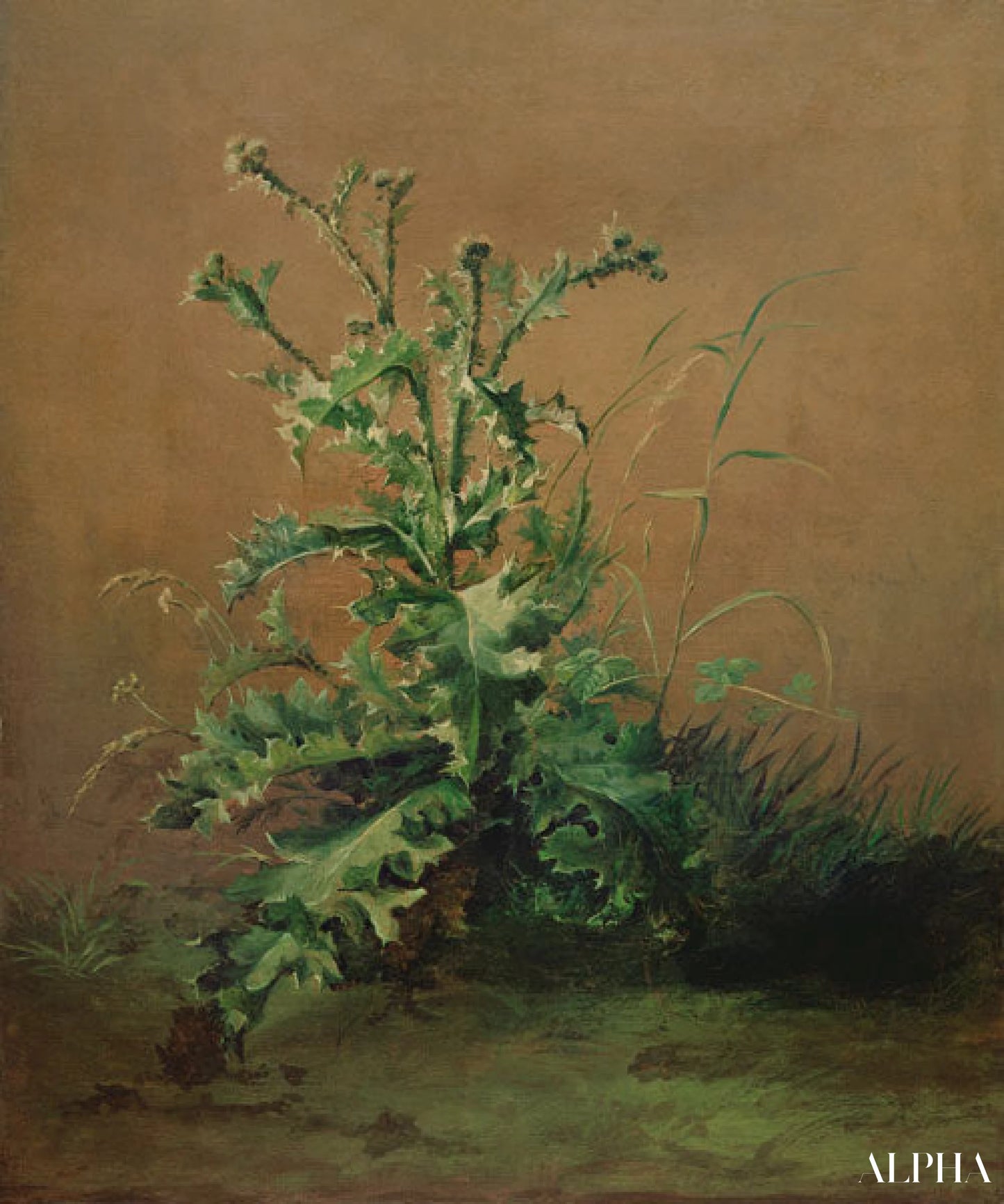 Le chardon - Edouard Manet - Reproductions de tableaux et peintures haut de gamme