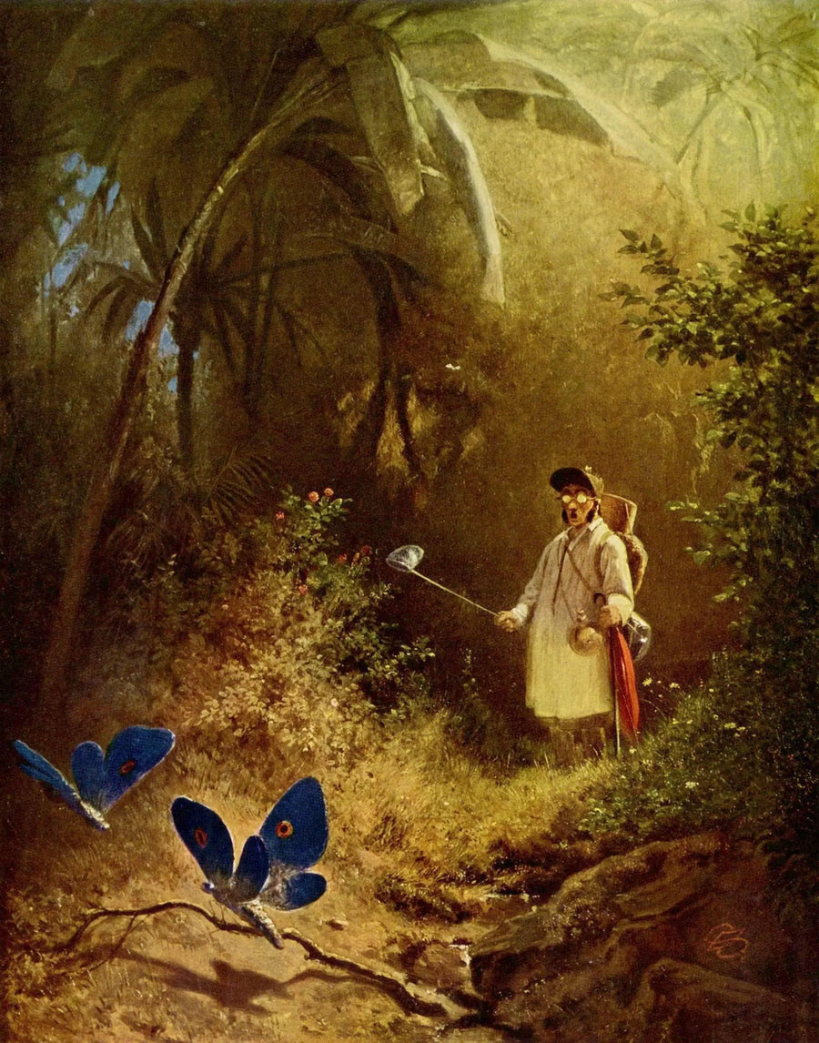 Sommerfugljegeren - Carl Spitzweg