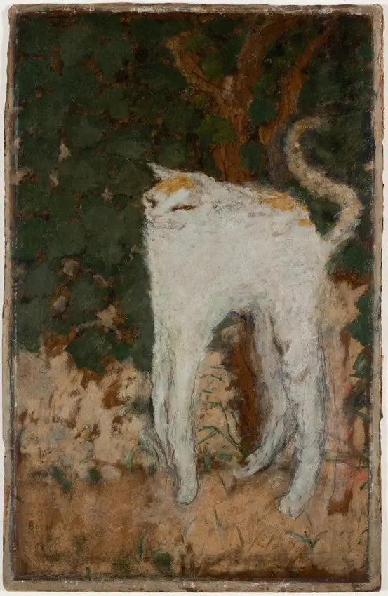 Den hvite katten - Pierre Bonnard