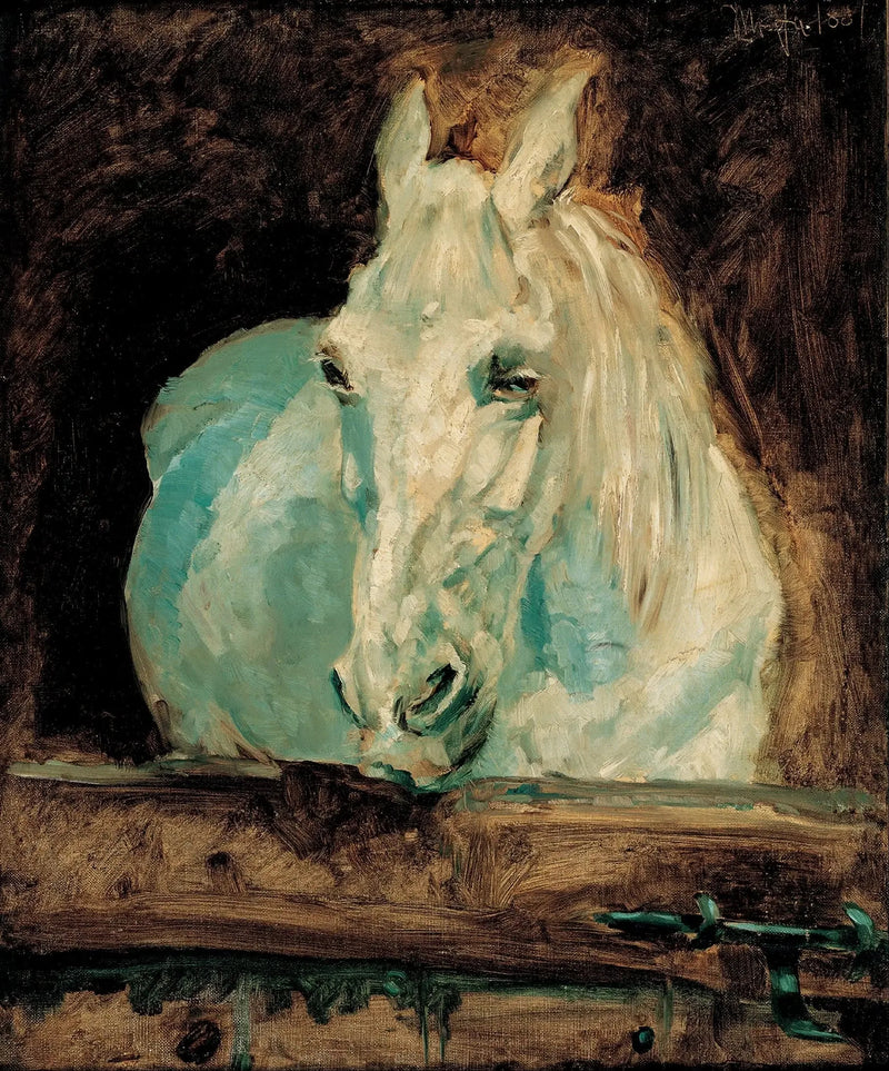 Den Hvite Hest «Gazelle» - Henri de Toulouse-Lautrec