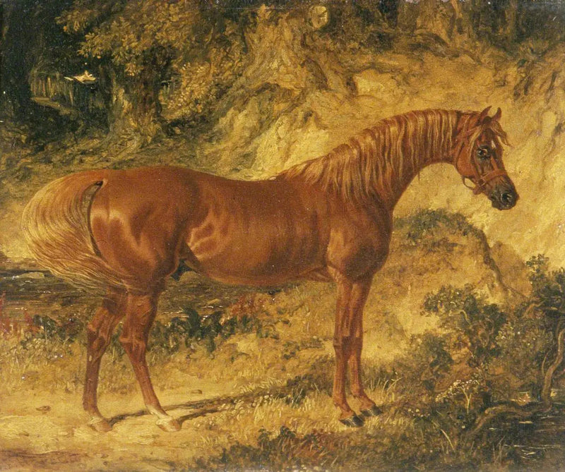 Løpshesten « Actéon » - John Frederick Herring, Sr.

Source:
Le cheval de course « Actéon » - John Frederick Herring, Sr.