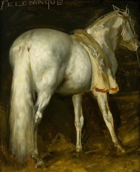 Den grå hesten «Télémaque» - Théodore Géricault
