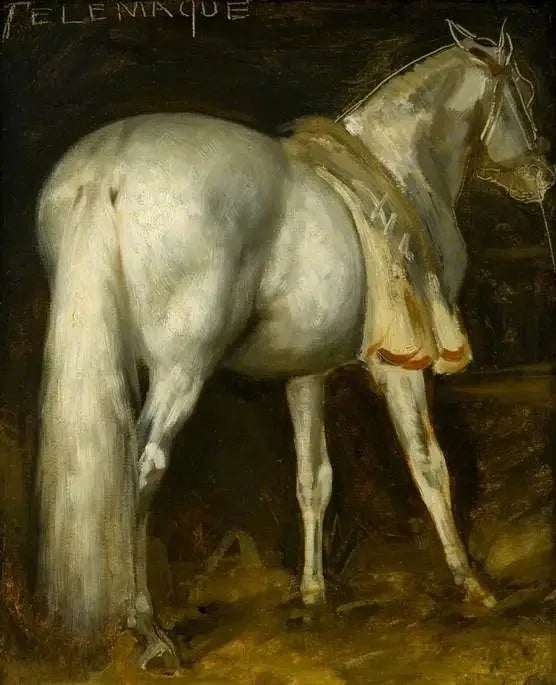 Den grå hesten «Télémaque» - Théodore Géricault