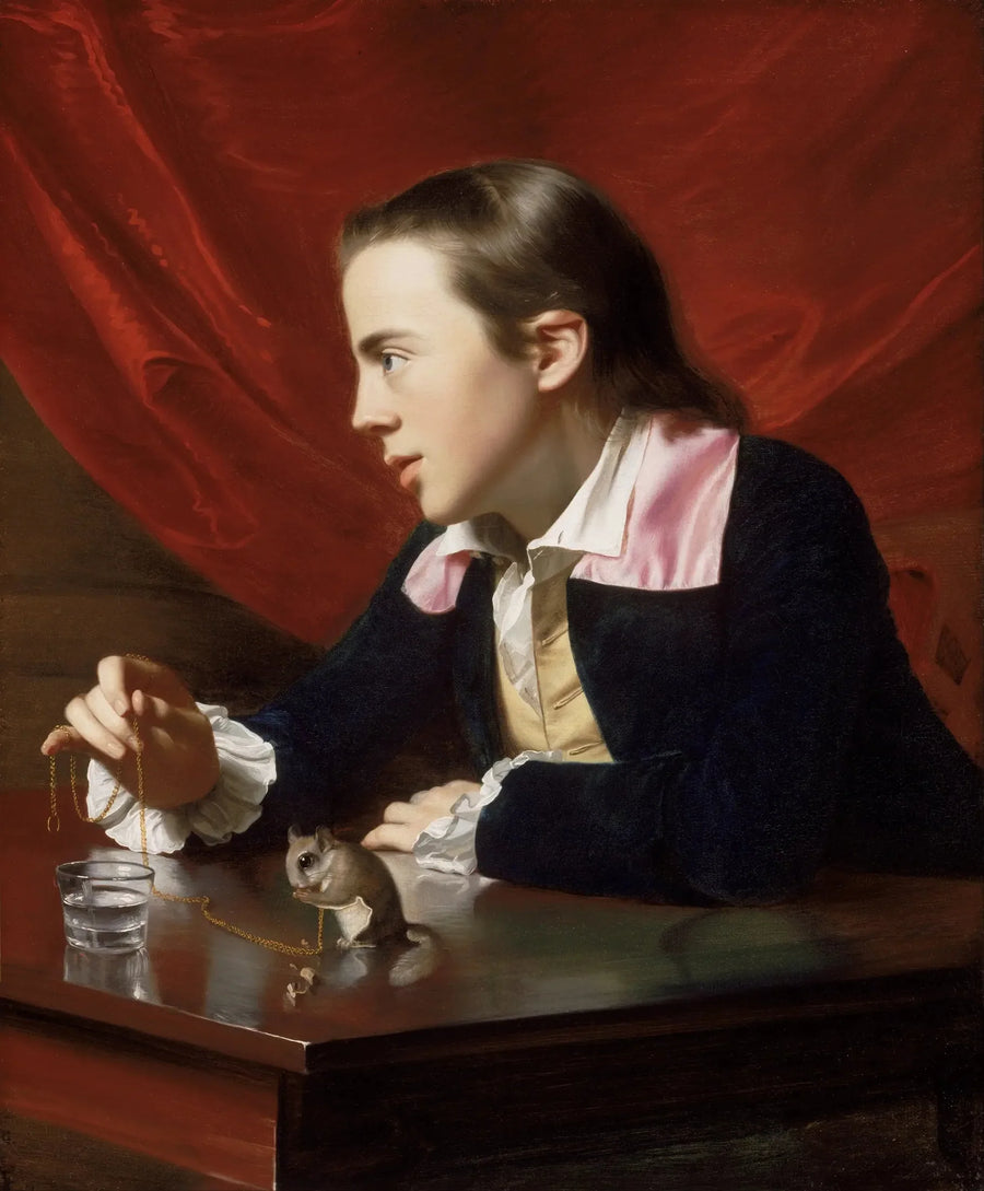 Gutten med ekornet - John Singleton Copley

Source:
Le Garçon à l'écureuil - John Singleton Copley