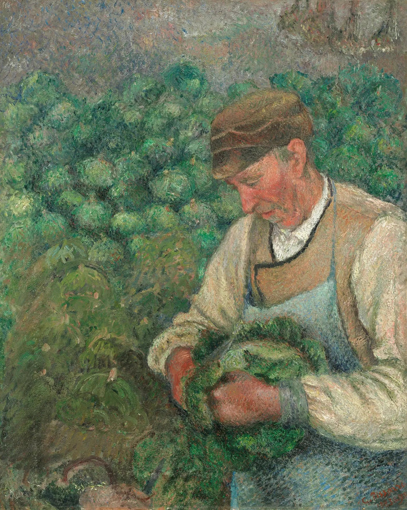 Gartneren - Gammel Bonde med Kål - Camille Pissarro