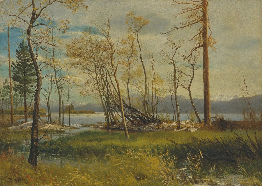 Tahoe-sjøen - Albert Bierstadt

Source:
Le lac Tahoe - Albert Bierstadt