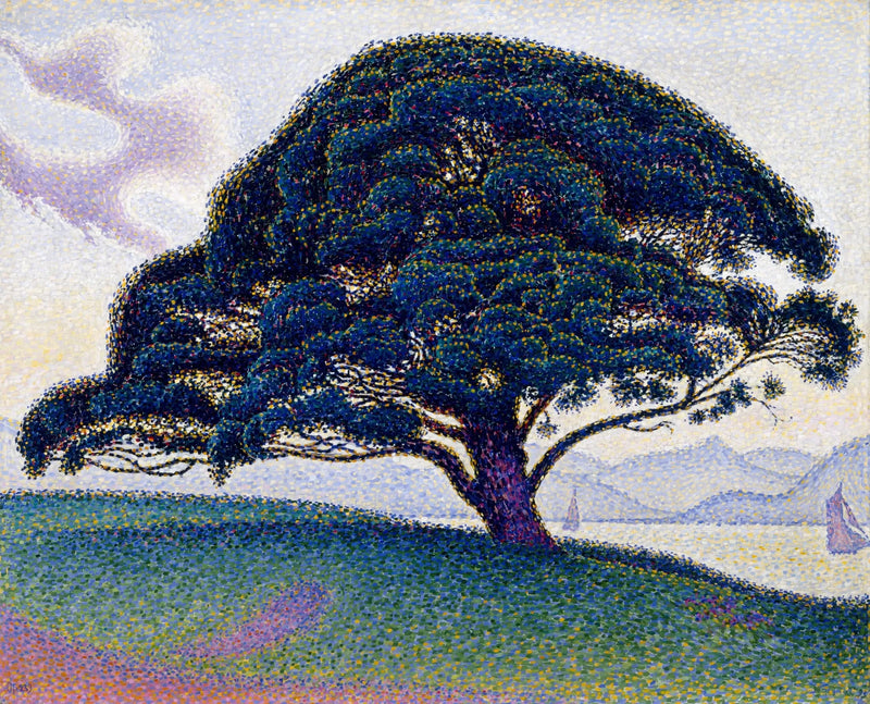 Bonaventura-furu - Paul Signac