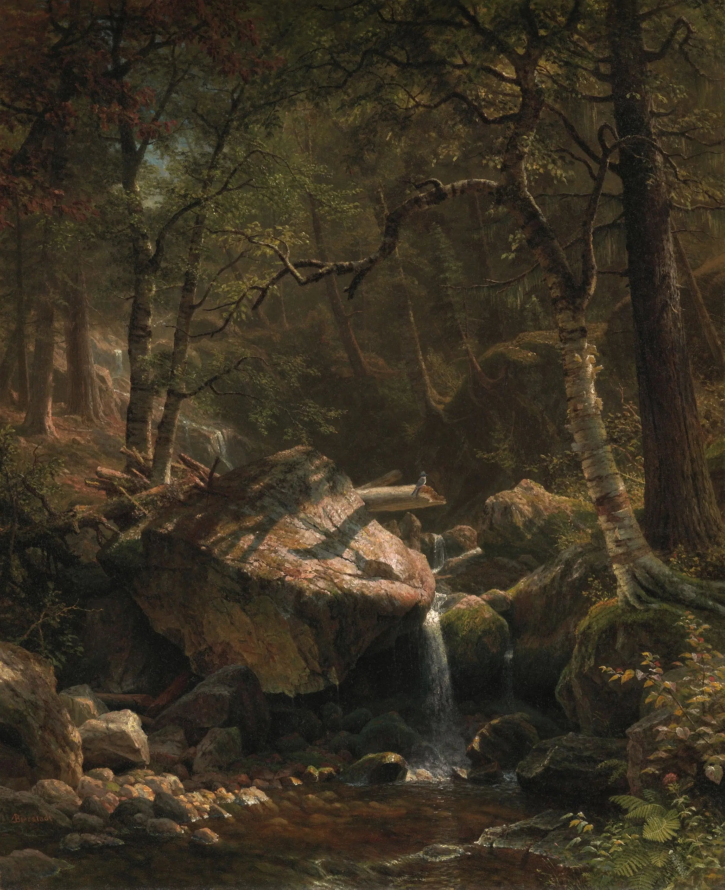 Le ruisseau de montagne - Albert Bierstadt - Alpha Reproduction