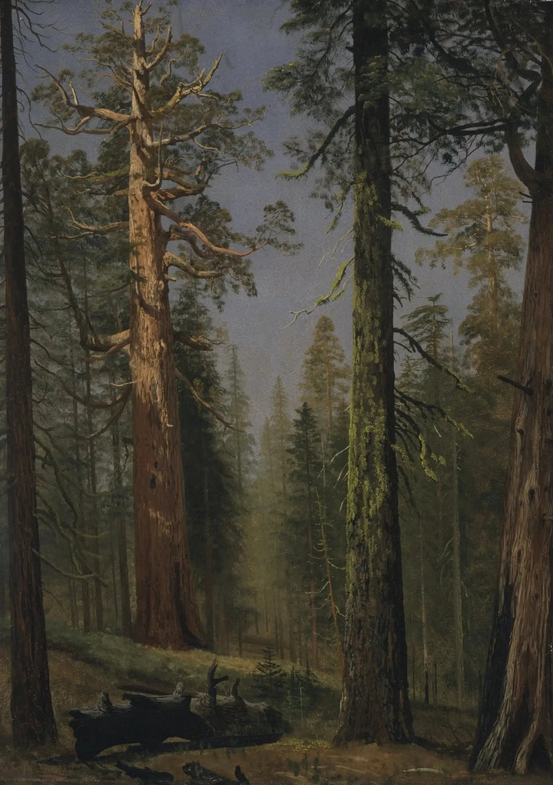 Den gigantiske sequoiaen Grizzly, Mariposa Grove, California - Albert Bierstadt

Source:
Le séquoia géant Grizzly, Mariposa Grove, Californie - Albert Bierstadt