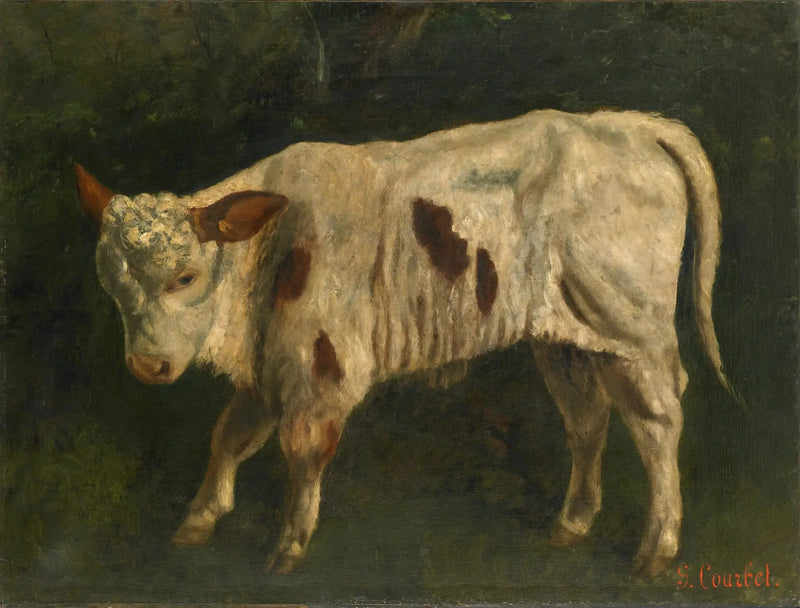 Den hvite kalven - Gustave Courbet