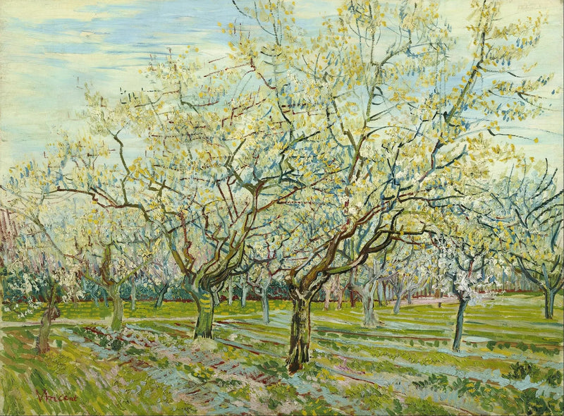 Den hvite frukthagen - Vincent van Gogh