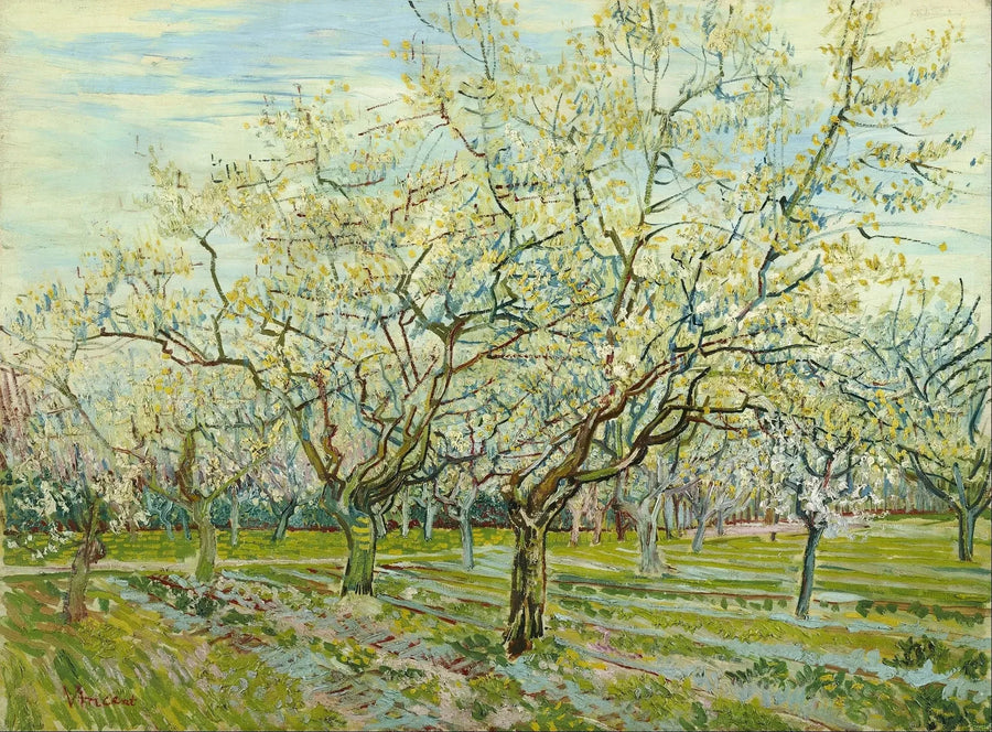 Den hvite frukthagen - Vincent van Gogh