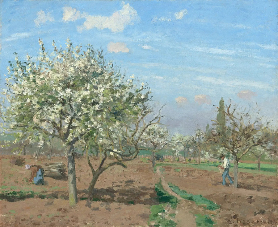 Frukthagen - Camille Pissarro