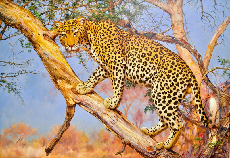 Løve i et tre | 150 x 100 cm