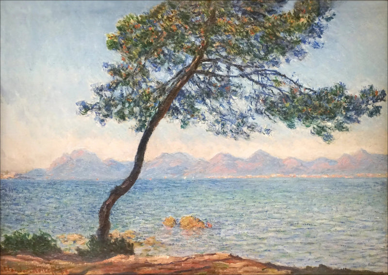 De antibakterielle - Claude Monet
