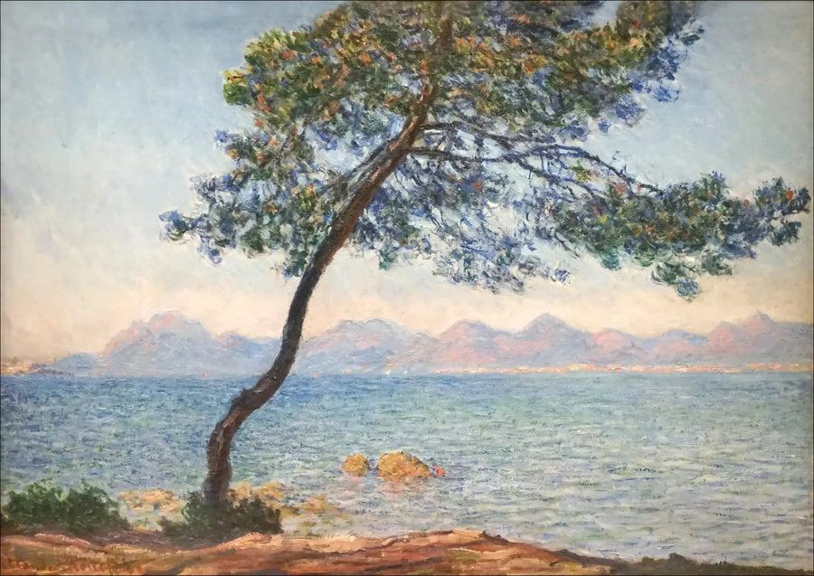 De antibakterielle - Claude Monet
