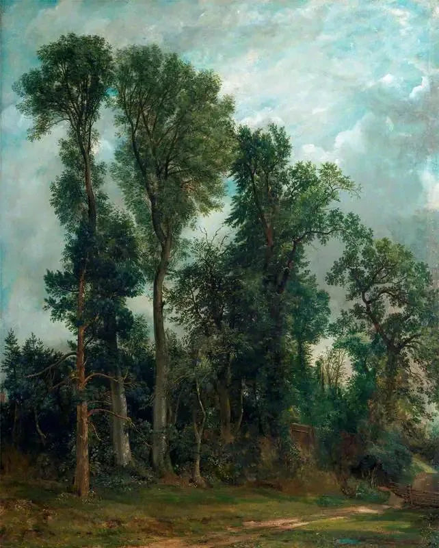 Hampstead-trærne: veien til kirken - John Constable