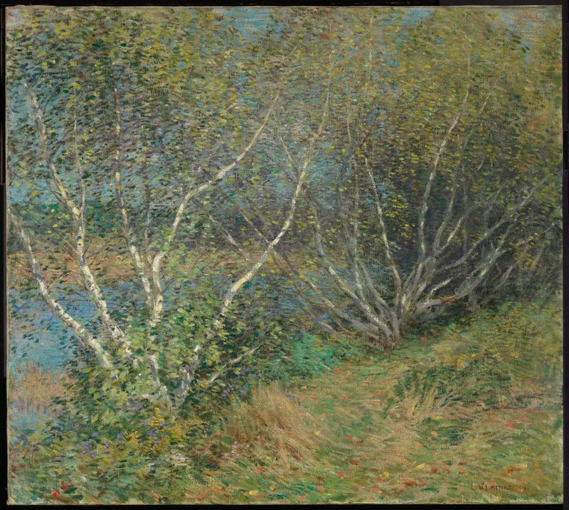 Bjørkene - Willard Metcalf