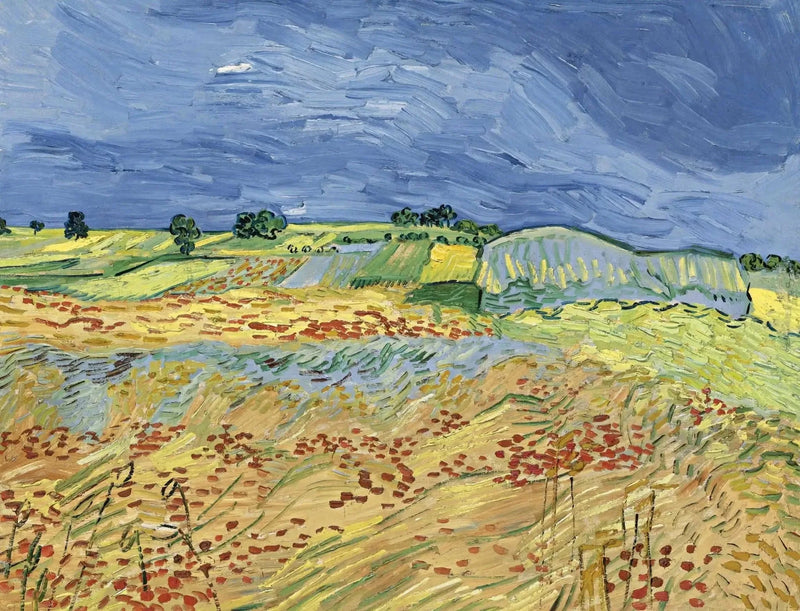 Markene - Vincent van Gogh