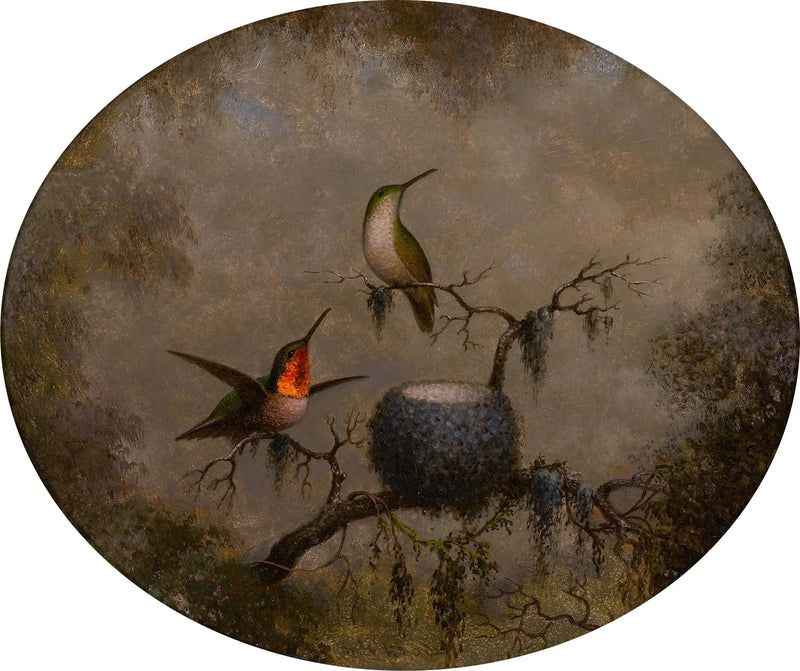 Kolibrier og deres rede - Martin Johnson Heade

Source:
Les colibris et leur nid - Martin Johnson Heade