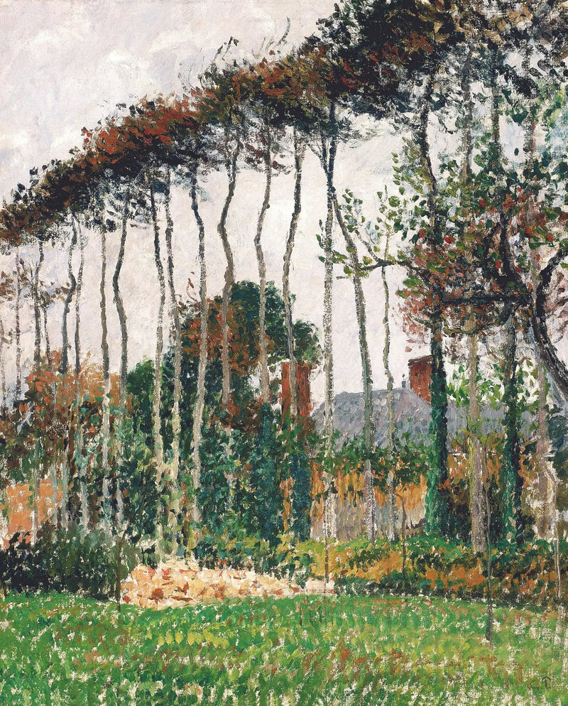De store bøkene i Varengeville - Camille Pissarro
