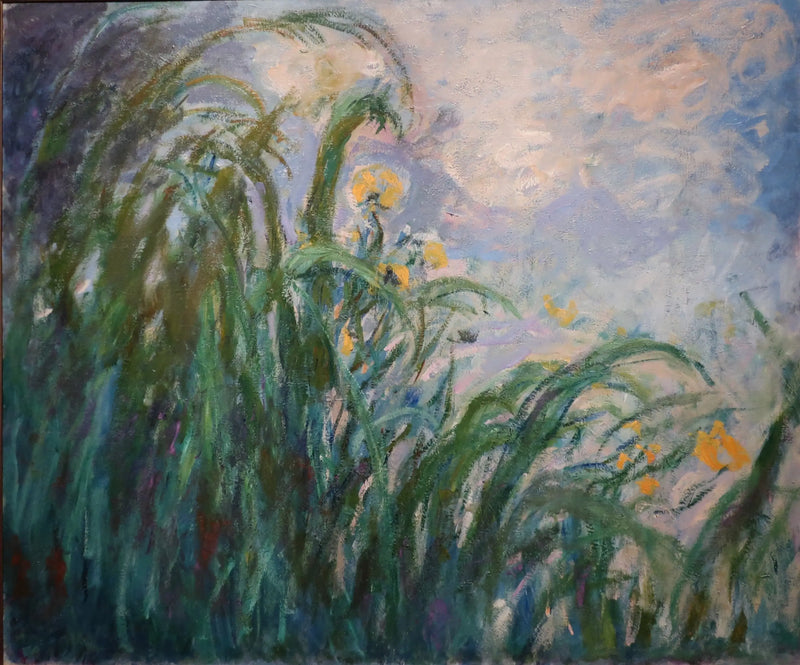 De gule iris - Claude Monet