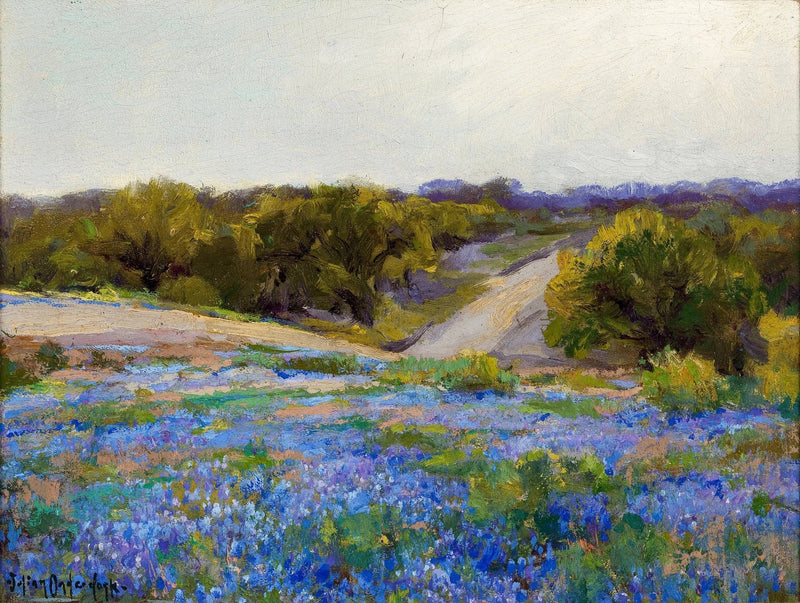De blå lupinene på ettermiddagen - Julian Onderdonk