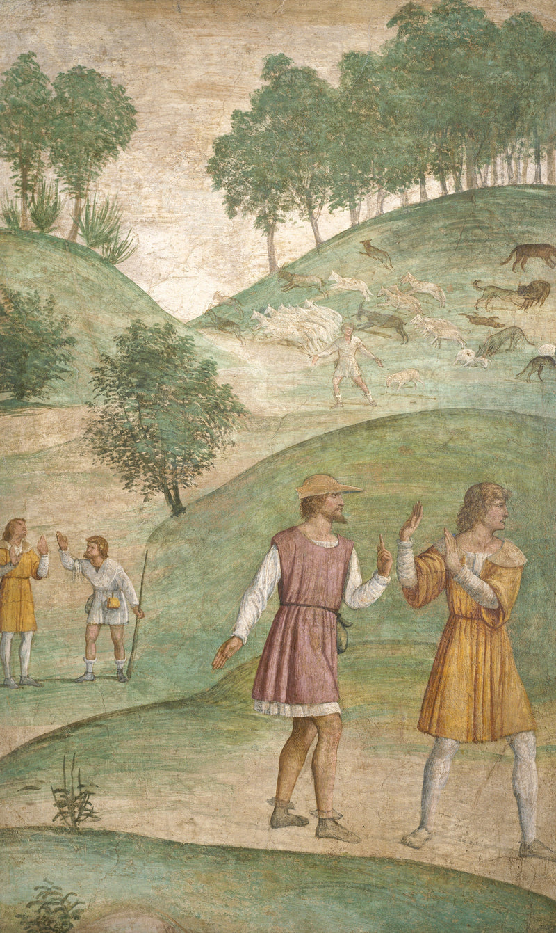 Céphale's ulykker - Bernardino Luini