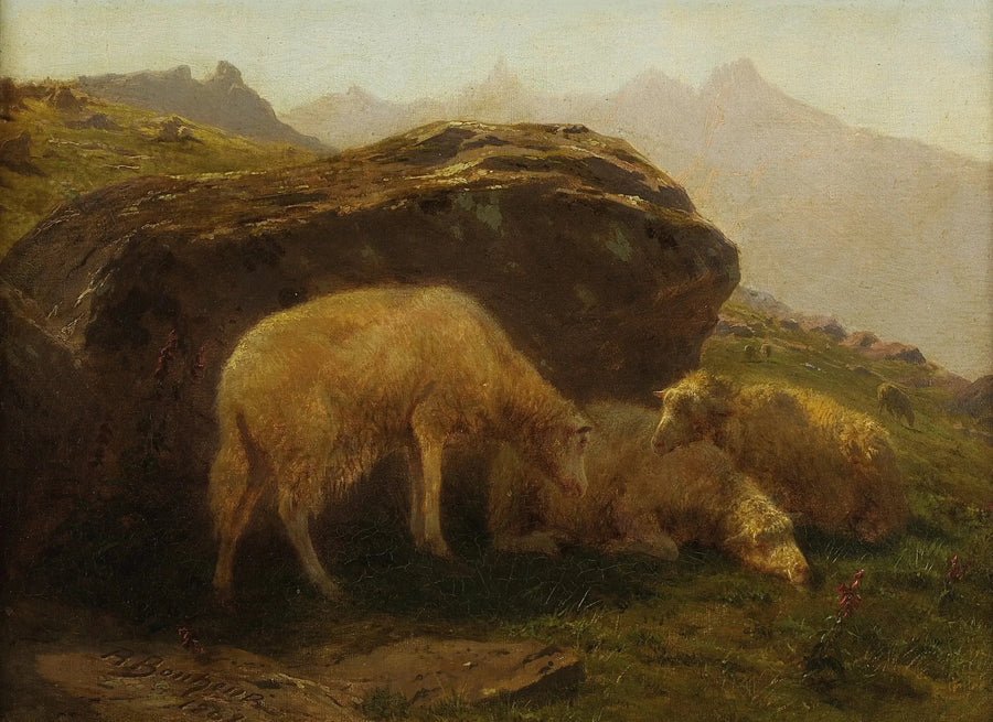 Sauene på en ås - Rosa Bonheur