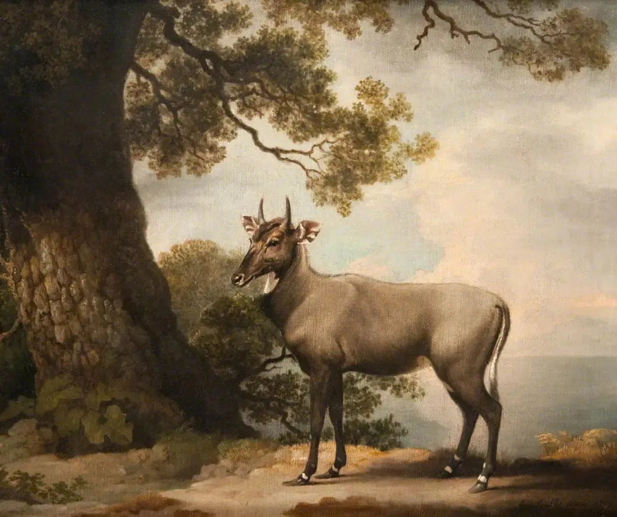 Les Nilgaïs - George Stubbs

Source:
Les Nilgaïs - George Stubbs