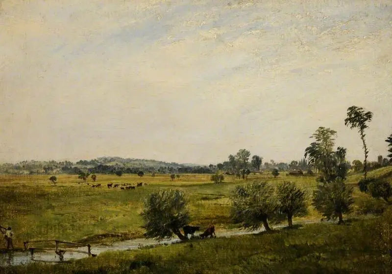 De fuktige enger, Salisbury, Wiltshire - John Constable