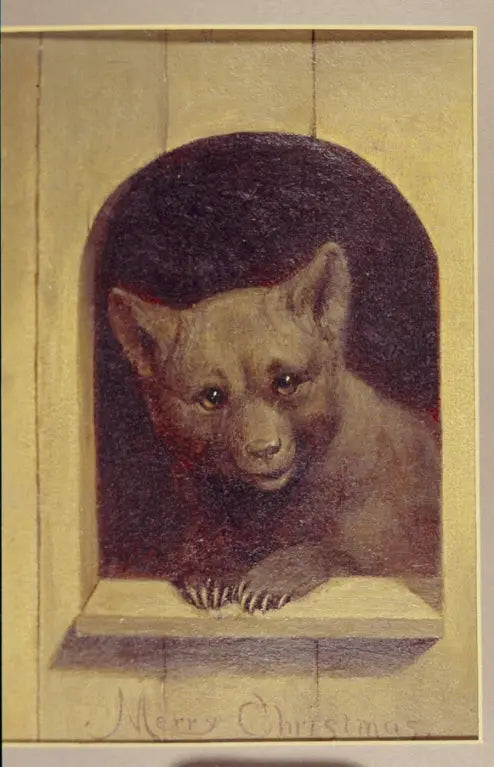 Julønsker fra Teddy - William Holbrook