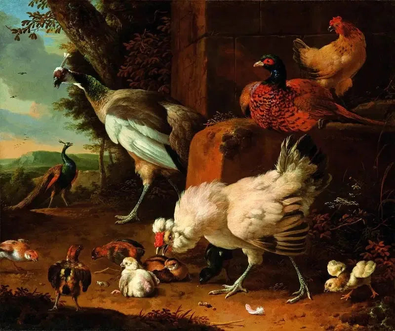 De tamme fjærfe med en rype og påfugler. - Melchior de Hondecoeter