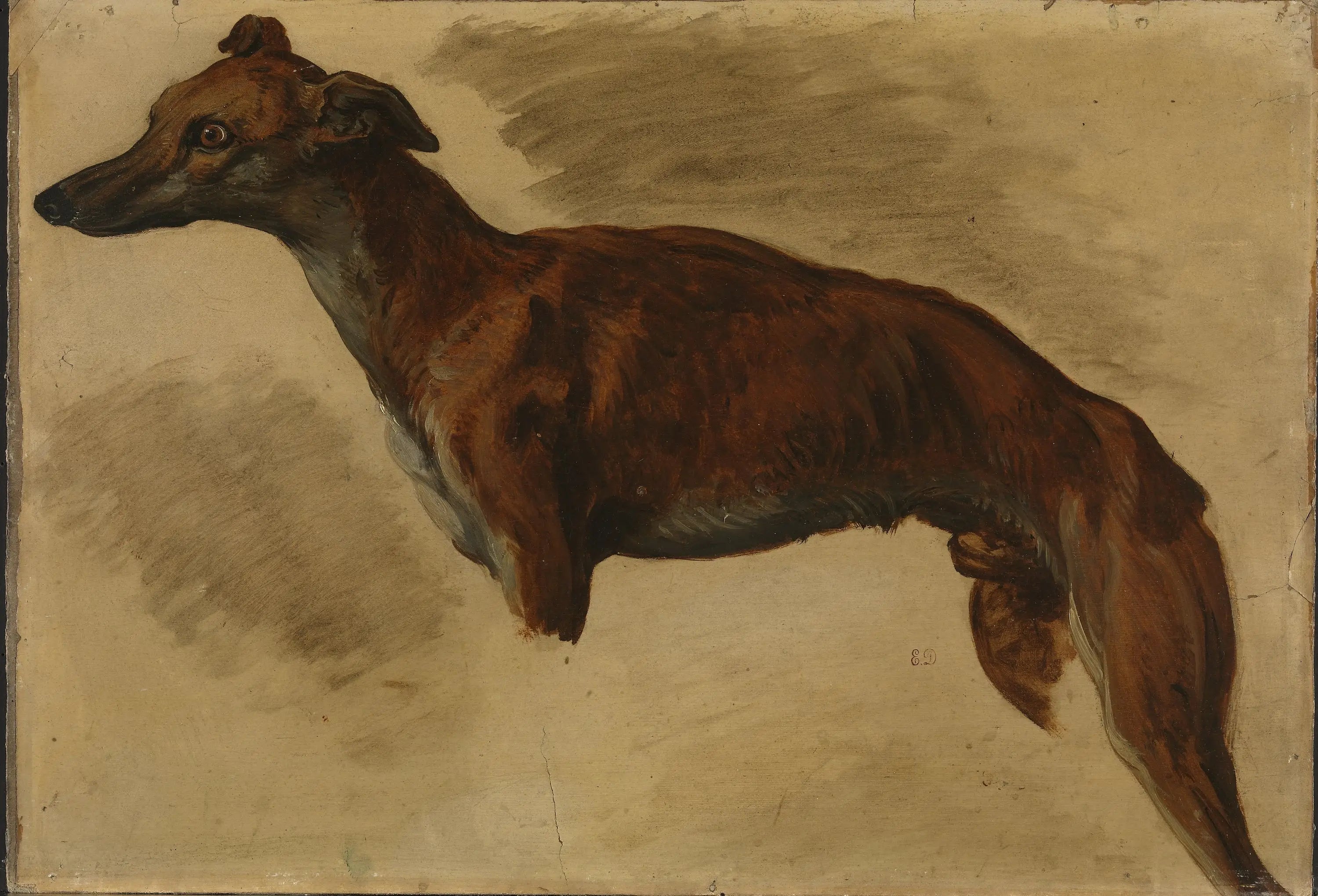 Lévrier - Eugène Delacroix image 1 copie peinte à la main à l’huile